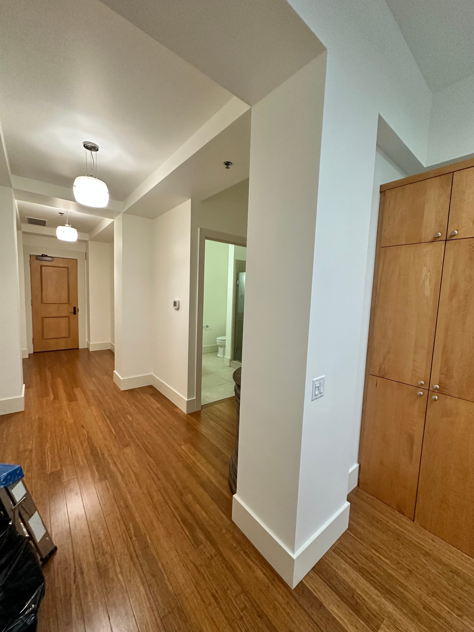 Gallery photos for Interior Painting Transformation of Modern Urban Condo: Image #2