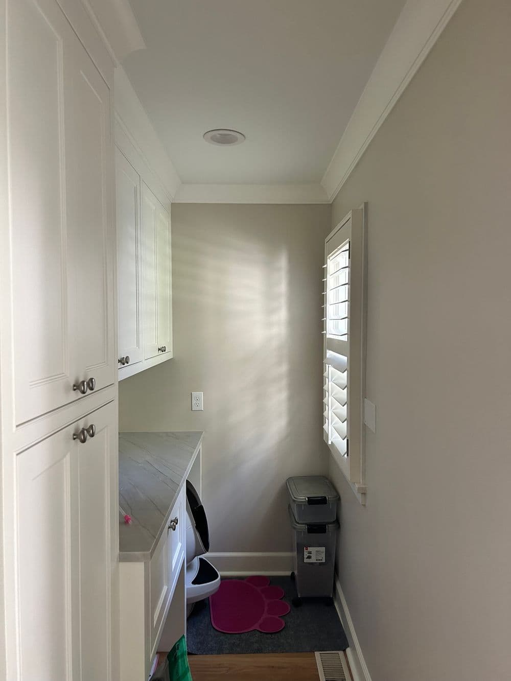 Bright laundry room with white cabinets, gray walls, and a pet-friendly mat.