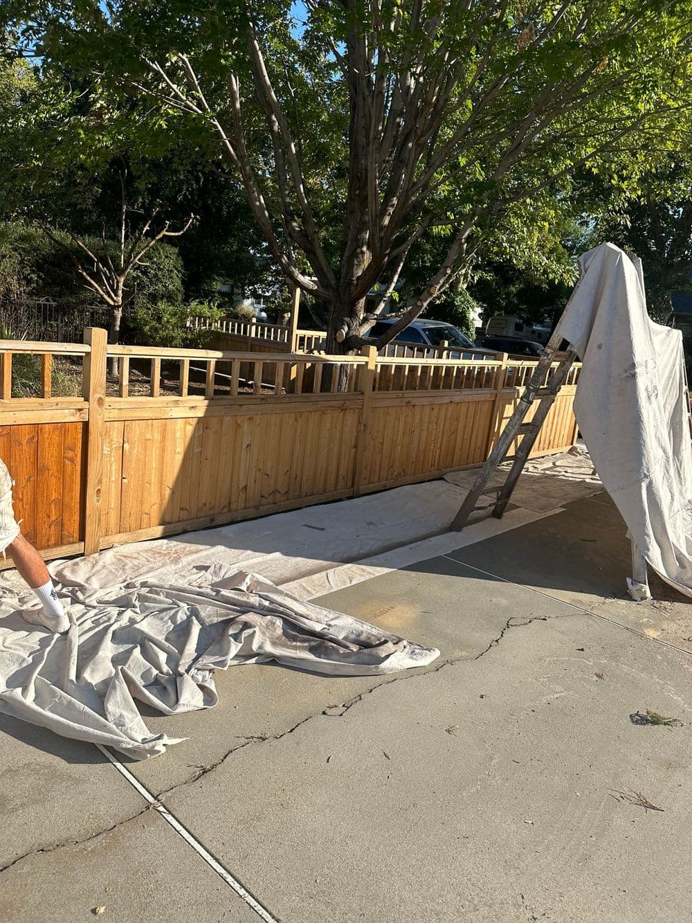 Person painting a wooden fence with a ladder and protective covering on the ground.